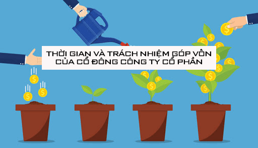 Góp vốn điều lệ 1
