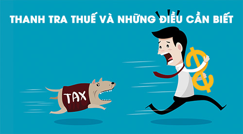 quy trình thanh tra thuế